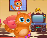 shrek - Lovely virtual cat